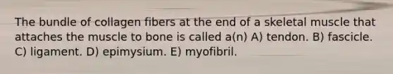 The bundle of collagen fibers at the end of a skeletal muscle that attaches the muscle to bone is called a(n) A) tendon. B) fascicle. C) ligament. D) epimysium. E) myofibril.