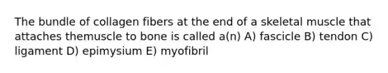 The bundle of collagen fibers at the end of a skeletal muscle that attaches themuscle to bone is called a(n) A) fascicle B) tendon C) ligament D) epimysium E) myofibril