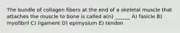 The bundle of collagen fibers at the end of a skeletal muscle that attaches the muscle to bone is called a(n) ______ A) fasicle B) myofibril C) ligament D) epimysium E) tendon