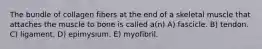 The bundle of collagen fibers at the end of a skeletal muscle that attaches the muscle to bone is called a(n) A) fascicle. B) tendon. C) ligament. D) epimysium. E) myofibril.