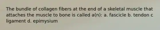 The bundle of collagen fibers at the end of a skeletal muscle that attaches the muscle to bone is called a(n): a. fascicle b. tendon c ligament d. epimysium