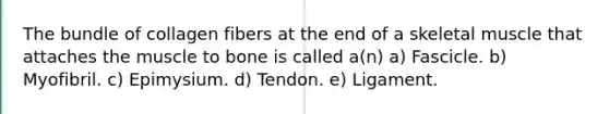 The bundle of collagen fibers at the end of a skeletal muscle that attaches the muscle to bone is called a(n) a) Fascicle. b) Myofibril. c) Epimysium. d) Tendon. e) Ligament.