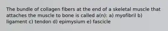 The bundle of collagen fibers at the end of a skeletal muscle that attaches the muscle to bone is called a(n): a) myofibril b) ligament c) tendon d) epimysium e) fascicle