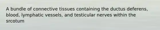 A bundle of connective tissues containing the ductus deferens, blood, lymphatic vessels, and testicular nerves within the srcotum