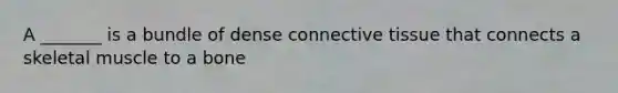 A _______ is a bundle of dense connective tissue that connects a skeletal muscle to a bone