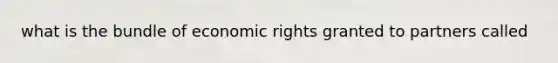 what is the bundle of economic rights granted to partners called