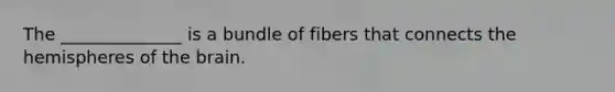 The ______________ is a bundle of fibers that connects the hemispheres of the brain.