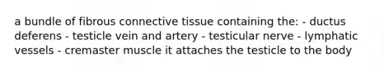 a bundle of fibrous connective tissue containing the: - ductus deferens - testicle vein and artery - testicular nerve - lymphatic vessels - cremaster muscle it attaches the testicle to the body