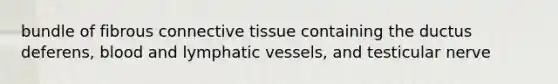 bundle of fibrous <a href='https://www.questionai.com/knowledge/kYDr0DHyc8-connective-tissue' class='anchor-knowledge'>connective tissue</a> containing the ductus deferens, blood and <a href='https://www.questionai.com/knowledge/ki6sUebkzn-lymphatic-vessels' class='anchor-knowledge'>lymphatic vessels</a>, and testicular nerve