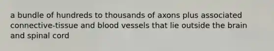 a bundle of hundreds to thousands of axons plus associated connective-tissue and <a href='https://www.questionai.com/knowledge/kZJ3mNKN7P-blood-vessels' class='anchor-knowledge'>blood vessels</a> that lie outside <a href='https://www.questionai.com/knowledge/kLMtJeqKp6-the-brain' class='anchor-knowledge'>the brain</a> and spinal cord