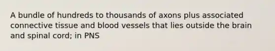 A bundle of hundreds to thousands of axons plus associated <a href='https://www.questionai.com/knowledge/kYDr0DHyc8-connective-tissue' class='anchor-knowledge'>connective tissue</a> and <a href='https://www.questionai.com/knowledge/kZJ3mNKN7P-blood-vessels' class='anchor-knowledge'>blood vessels</a> that lies outside <a href='https://www.questionai.com/knowledge/kLMtJeqKp6-the-brain' class='anchor-knowledge'>the brain</a> and spinal cord; in PNS