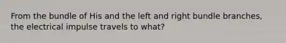 From the bundle of His and the left and right bundle branches, the electrical impulse travels to what?