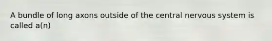 A bundle of long axons outside of the central nervous system is called a(n)