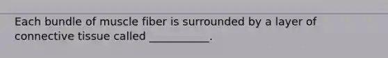 Each bundle of muscle fiber is surrounded by a layer of connective tissue called ___________.