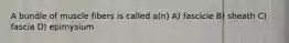 A bundle of muscle fibers is called a(n) A) fascicle B) sheath C) fascia D) epimysium