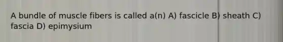 A bundle of muscle fibers is called a(n) A) fascicle B) sheath C) fascia D) epimysium