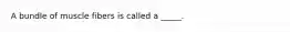 A bundle of muscle fibers is called a _____.