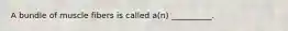 A bundle of muscle fibers is called a(n) __________.
