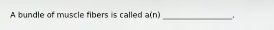 A bundle of muscle fibers is called a(n) __________________.
