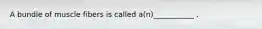 A bundle of muscle fibers is called a(n)___________ .