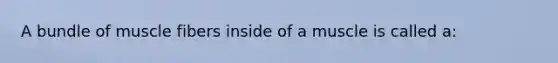 A bundle of muscle fibers inside of a muscle is called a: