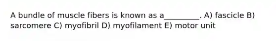 A bundle of muscle fibers is known as a_________. A) fascicle B) sarcomere C) myofibril D) myofilament E) motor unit