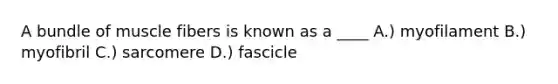 A bundle of muscle fibers is known as a ____ A.) myofilament B.) myofibril C.) sarcomere D.) fascicle