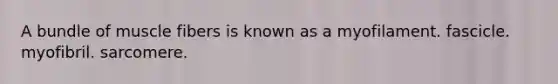 A bundle of muscle fibers is known as a myofilament. fascicle. myofibril. sarcomere.