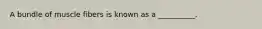 A bundle of muscle fibers is known as a __________.