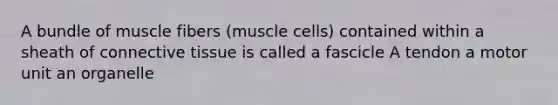 A bundle of muscle fibers (muscle cells) contained within a sheath of connective tissue is called a fascicle A tendon a motor unit an organelle