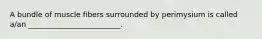 A bundle of muscle fibers surrounded by perimysium is called a/an _________________________.