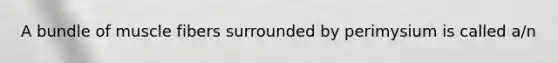 A bundle of muscle fibers surrounded by perimysium is called a/n