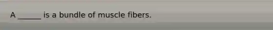 A ______ is a bundle of muscle fibers.