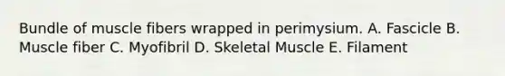 Bundle of muscle fibers wrapped in perimysium. A. Fascicle B. Muscle fiber C. Myofibril D. Skeletal Muscle E. Filament