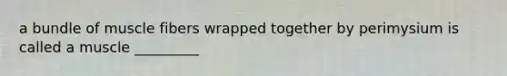 a bundle of muscle fibers wrapped together by perimysium is called a muscle _________