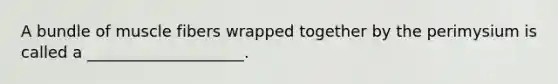 A bundle of muscle fibers wrapped together by the perimysium is called a ____________________.