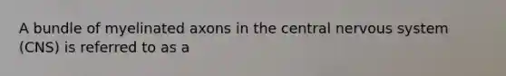 A bundle of myelinated axons in the central nervous system (CNS) is referred to as a
