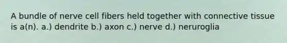 A bundle of nerve cell fibers held together with connective tissue is a(n). a.) dendrite b.) axon c.) nerve d.) neruroglia