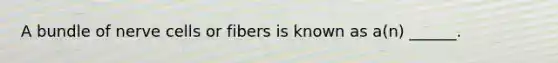 A bundle of nerve cells or fibers is known as a(n) ______.