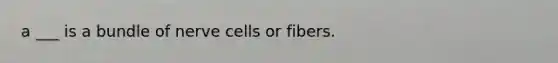 a ___ is a bundle of nerve cells or fibers.