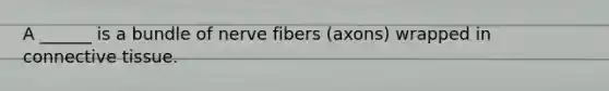 A ______ is a bundle of nerve fibers (axons) wrapped in connective tissue.