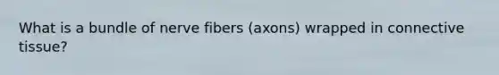 What is a bundle of nerve fibers (axons) wrapped in connective tissue?