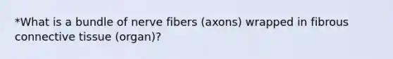 *What is a bundle of nerve fibers (axons) wrapped in fibrous connective tissue (organ)?