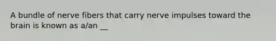 A bundle of nerve fibers that carry nerve impulses toward the brain is known as a/an __