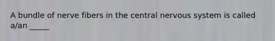 A bundle of nerve fibers in the central nervous system is called a/an _____