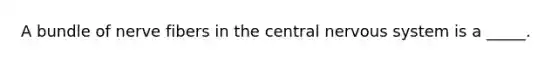 A bundle of nerve fibers in the central nervous system is a _____.