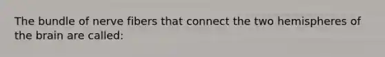 The bundle of nerve fibers that connect the two hemispheres of <a href='https://www.questionai.com/knowledge/kLMtJeqKp6-the-brain' class='anchor-knowledge'>the brain</a> are called: