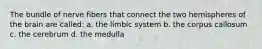 The bundle of nerve fibers that connect the two hemispheres of the brain are called: a. the limbic system b. the corpus callosum c. the cerebrum d. the medulla