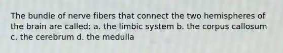 The bundle of nerve fibers that connect the two hemispheres of the brain are called: a. the limbic system b. the corpus callosum c. the cerebrum d. the medulla