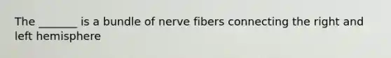 The _______ is a bundle of nerve fibers connecting the right and left hemisphere